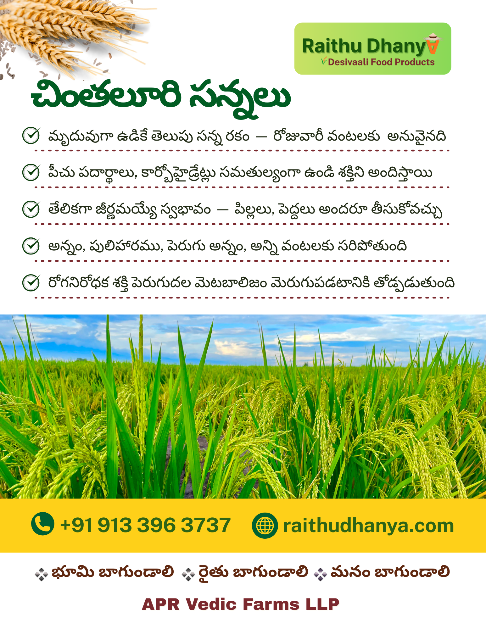 Desavali Rice Information - 013-Chinthaluri Sannalu-12